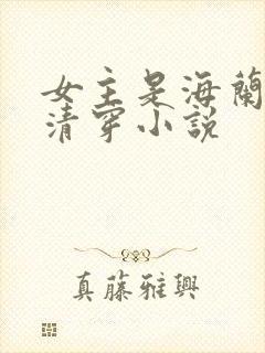 女主是海兰珠的清穿小说
