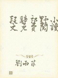 段辞祁野小说全文免费阅读最新封面