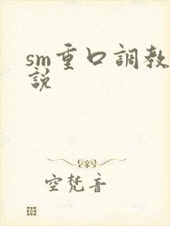 sm重口调教小说封面
