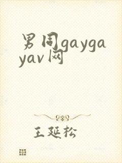 男同gaygayav网