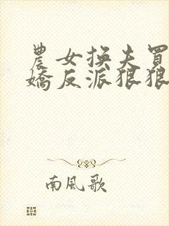 农女换夫买个病娇反派狠狠宠免费阅读