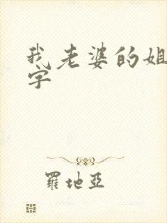 我老婆的姐姐中字