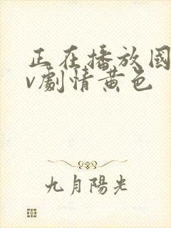 正在播放国产av剧情黄色
