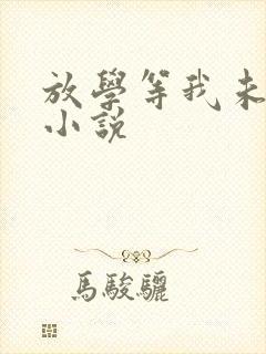 放学等我未删减小说