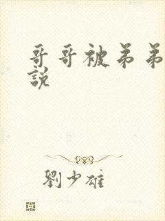 哥哥被弟弟操小说