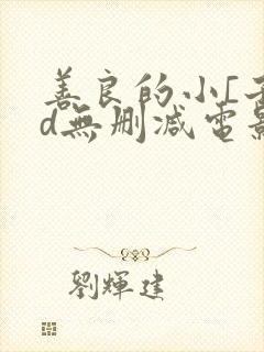 善良的小[子hd无删减电影