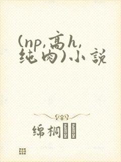 (np,高h,纯肉)小说
