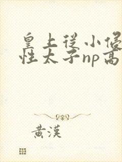 皇上从小侵犯双性太子np高h封面