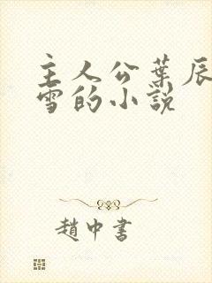 主人公叶辰夏若雪的小说