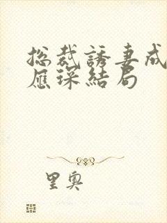 总裁诱妻成瘾雷应琛结局封面