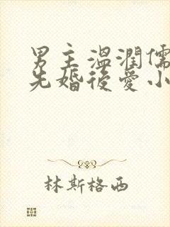 男主温润儒雅的先婚后爱小说