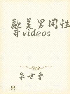 欧美男同性恋帅哥videos