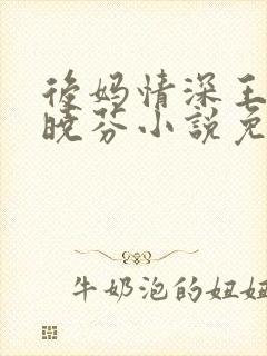 后妈情深王磊杨晓芬小说免费阅读全文
