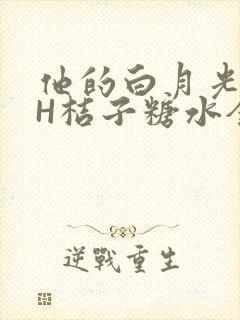 他的白月光HVH桔子糖水全文封面