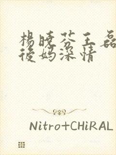 杨晓芬王磊小说后妈深情