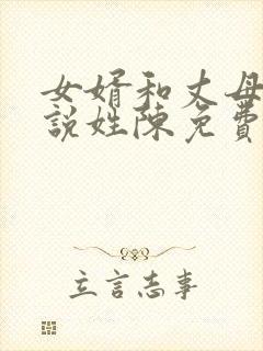 女婿和丈母娘小说姓陈免费阅读
