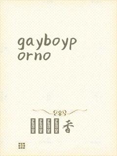 gayboyporno