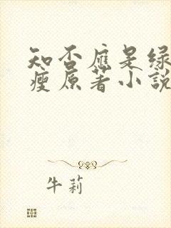 知否应是绿肥红瘦原著小说封面