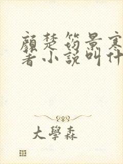 颜楚筠景寒之原著小说叫什么名字封面