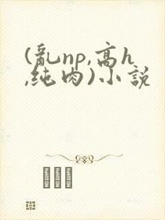 (乱np,高h,纯肉)小说