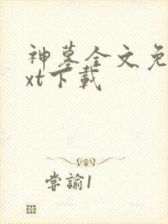 神墓全文免费txt下载