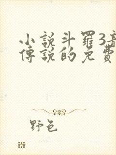 小说斗罗3龙王传说的免费阅读封面