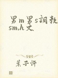 男m男s调教(sm,h文