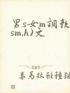 男s女m调教(sm,h)文