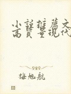 小说推荐文笔好高质量现代言情