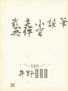 武夫小说笔趣阁无弹窗
