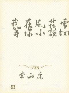 我在风花雪月里等你小说txt