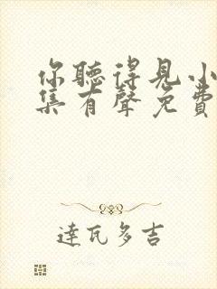你听得见小说全集有声免费听
