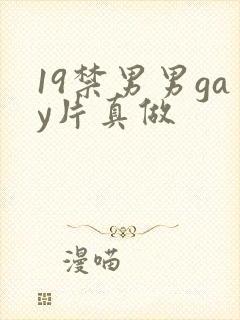 19禁男男gay片真做
