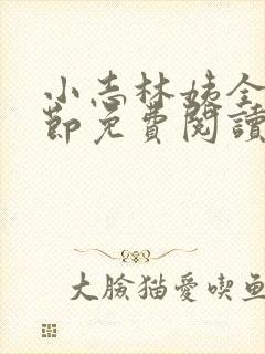 小志林姨全部章节免费阅读