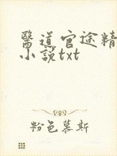 医道官途精校版小说txt封面