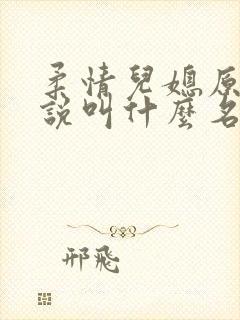 柔情儿媳原著小说叫什么名字封面