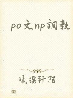 po文np调教