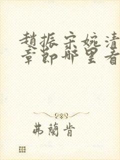 赵振宋婉清最新章节哪里看封面
