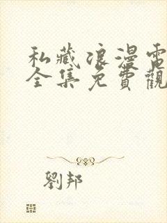 私藏浪漫电视剧全集免费观看高清封面