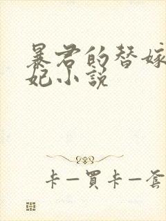 暴君的替嫁小毒妃小说封面