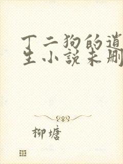 丁二狗的逍遥人生小说未删减版