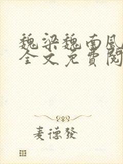 魏梁魏南风po全文免费阅读笔趣阁