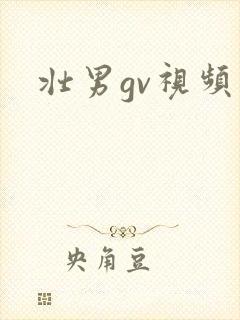 壮男gv视频