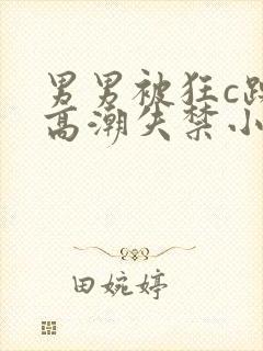 男男被狂c躁到高潮失禁小说