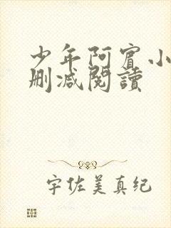 少年阿宾小说无删减阅读封面