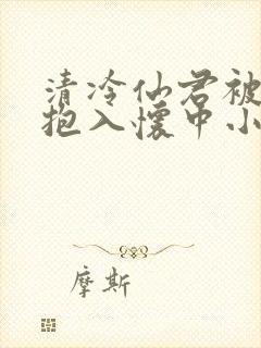 清冷仙君被老汉抱入怀中小说