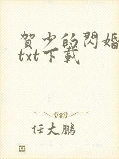 贺少的闪婚暖妻txt下载