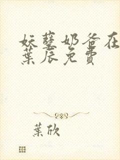 妖孽奶爸在都市叶辰免费