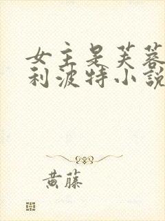 女主是芙蓉的哈利波特小说