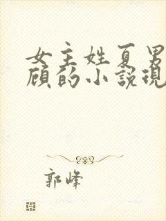 女主姓夏男主姓顾的小说现代言情封面